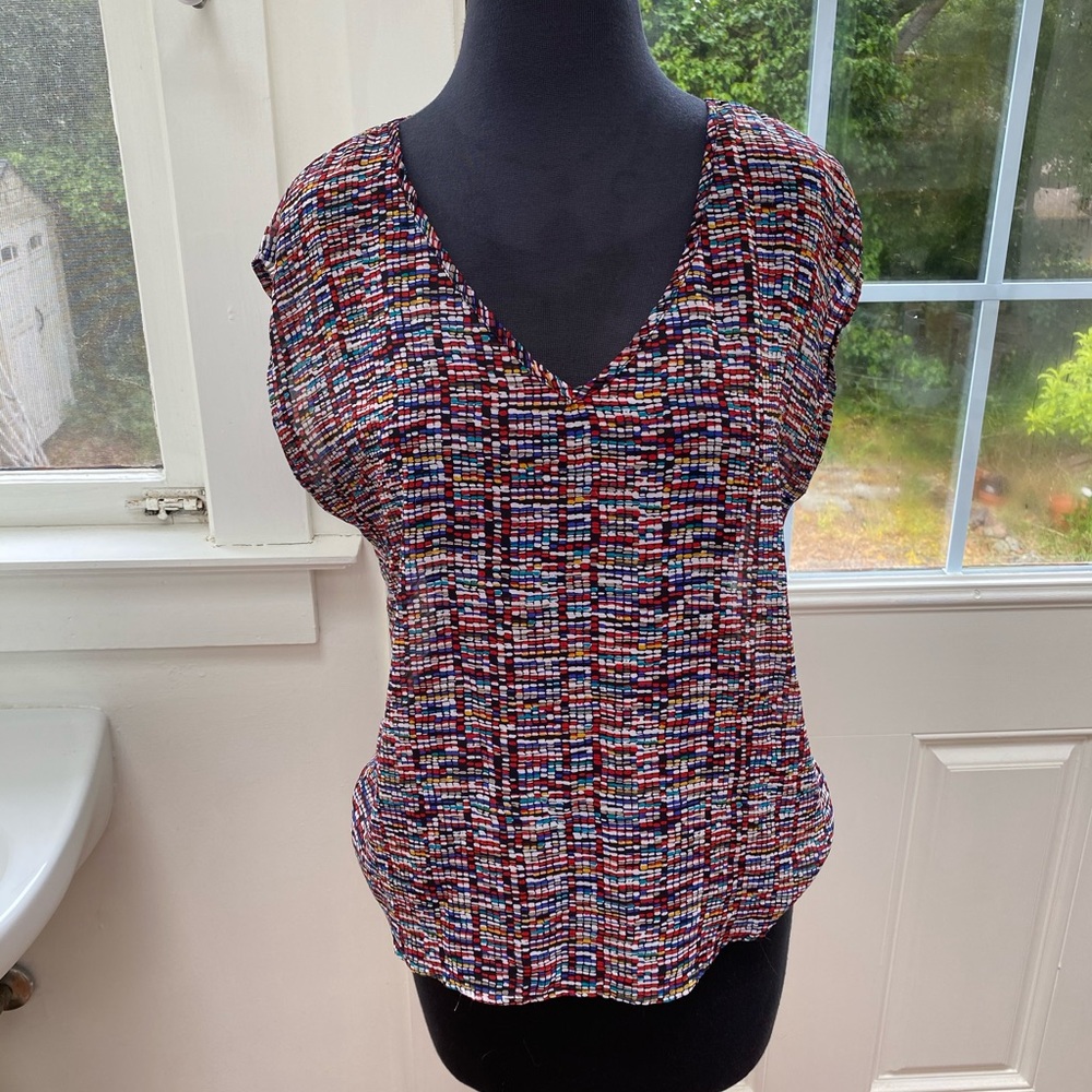 Sexy & fun semi-sheer blouse